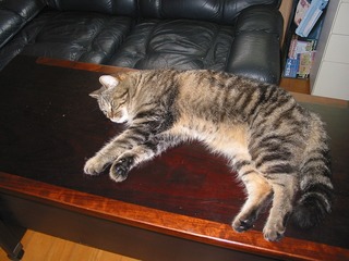 2011.5.14.jpg