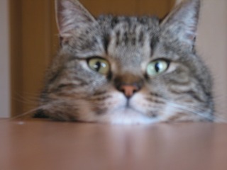 2012-6-25.jpg