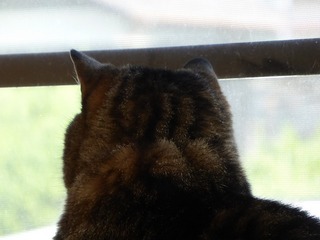 2013-12-10.jpg