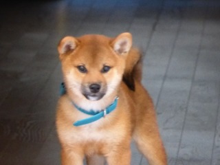 2013-12-11.jpg